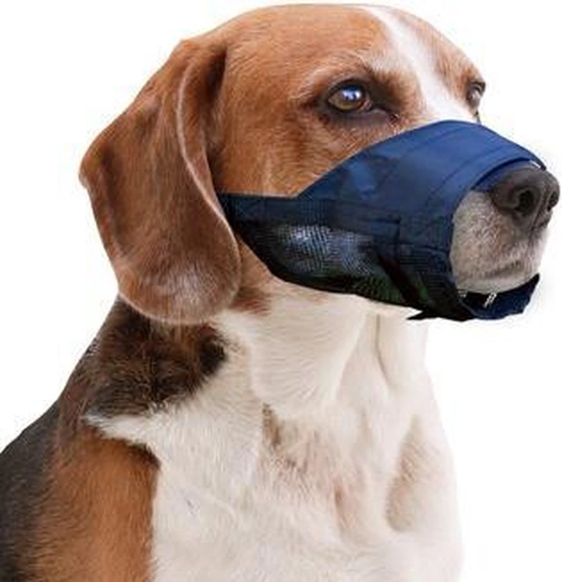 Pawise Muilkorf Adjustable - L - Size 1 Pawise Muilkorf Adjustable - L - Size