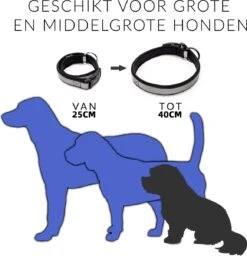 BJØRK Hondenhalsband Airtag - Reflecterend - Zwart - Verstelbaar - 25 Tot 40 Cm - Tracker- GPS - Geschikt Voor Apple Airtag - Hondenriem 11 BJØRK Hondenhalsband Airtag - Reflecterend - Zwart - Verstelbaar - 25 Tot 40 Cm - Tracker- GPS - Geschikt Voor Apple Airtag - Hondenriem -Huisdierbenodigdheden 1160x1200 10