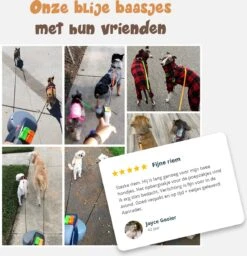 Dubbele Honden Riem – Leiband Hond – Hondenlijn – Looplijn Hond – 2 Honden – 3 Meter – Tot 12kg Per Hond – Reflecterende Lijnen – Met Zaklamp – 360° Draaien – Verstelbaar - Zwart 16 Dubbele Honden Riem – Leiband Hond – Hondenlijn – Looplijn Hond – 2 Honden – 3 Meter – Tot 12kg Per Hond – Reflecterende Lijnen – Met Zaklamp – 360° Draaien – Verstelbaar - Zwart -Huisdierbenodigdheden 1160x1200