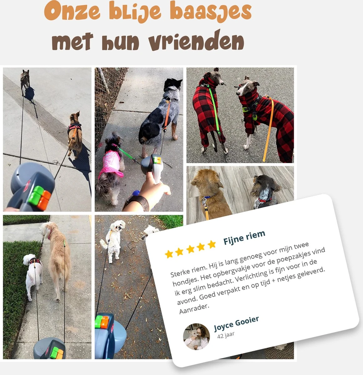 Dubbele Honden Riem – Leiband Hond – Hondenlijn – Looplijn Hond – 2 Honden – 3 Meter – Tot 12kg Per Hond – Reflecterende Lijnen – Met Zaklamp – 360° Draaien – Verstelbaar - Zwart 7 Dubbele Honden Riem – Leiband Hond – Hondenlijn – Looplijn Hond – 2 Honden – 3 Meter – Tot 12kg Per Hond – Reflecterende Lijnen – Met Zaklamp – 360° Draaien – Verstelbaar - Zwart - Afbeelding 7