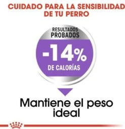 Royal Canin Mini Sterilised 8 KG -Huisdierbenodigdheden 1161x1200 3