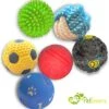 Petloverz Ballen Set - Honden Speelgoed - Intelligentie - Ballen - 6 Stuks