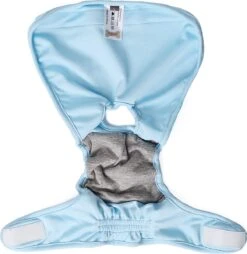 Loopsheidbroekje - Blauw - Maat M - Hondenbroekje - Loopsheid - Diverse Maten - Voor Grote En Kleine Honden -Huisdierbenodigdheden 1165x1200 13