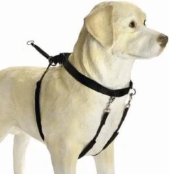 Beeztees Gentle Walker - Hondentuig - Zwart - L -Huisdierbenodigdheden 1166x1200 10