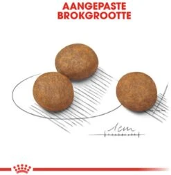 Royal Canin Maxi Junior - Hondenvoer - 10 Kg -Huisdierbenodigdheden 1170x1200 12