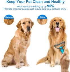 Igoods Professionele 2-Zijdige Ondervacht Kam Voor Hond En Kat - Hondenborstel – Kattenborstel 10 Igoods Professionele 2-Zijdige Ondervacht Kam Voor Hond En Kat - Hondenborstel – Kattenborstel -Huisdierbenodigdheden 1172x1200 1