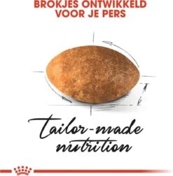 Royal Canin Persian Adult - Kattenvoer - 2 Kg -Huisdierbenodigdheden 1177x1200 11
