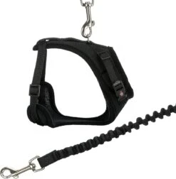 Trixie Kattentuig Mesh Y-vorm Met Elastische Riem (36-60X100 CM) 13 Trixie Kattentuig Mesh Y-vorm Met Elastische Riem (36-60X100 CM) -Huisdierbenodigdheden 1177x1200 17