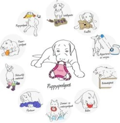 Trixie Dogtoy Dog Activity Strategy Game Gamble Box - Piepend Speelgoed - 15cm X 15cm X 9cm - Zwart/rood/oranje -Huisdierbenodigdheden 1178x1200 13