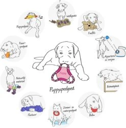 Kong Wubba Puppy Assorti 18 Kong Wubba Puppy Assorti -Huisdierbenodigdheden 1178x1200 32
