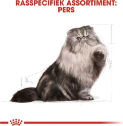 Royal Canin Persian Adult - Kattenvoer - 2 Kg -Huisdierbenodigdheden 1178x1200 44