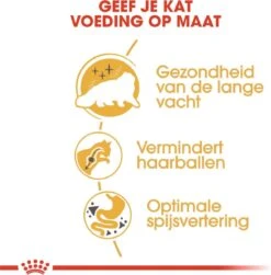 Royal Canin Persian Adult - Kattenvoer - 2 Kg -Huisdierbenodigdheden 1179x1200 23