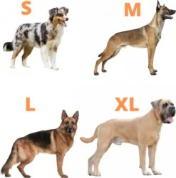 Always Prepared © Pro K9 Hondentuig - Anti Trek - Y Tuig - Middel En Grote Hond - Veiligheidstuig -Huisdierbenodigdheden 1179x1200 9