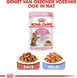 Royal Canin Kitten Sterilised - Kattenvoer - 3,5 Kg -Huisdierbenodigdheden 1180x1200 15