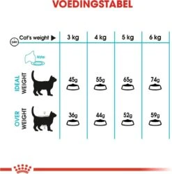 Royal Canin Urinary Care - Kattenvoer - 10 Kg -Huisdierbenodigdheden 1180x1200 19