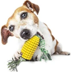 Merkloos Corn Dog Toothbrush - Honden Speelgoed - Hondenspeelgoed - Honden Tandenborstel - Gezond Dieet - Hondenspeeltje - Honden Speelgoed Intelligentie -Huisdierbenodigdheden 1183x1200 10