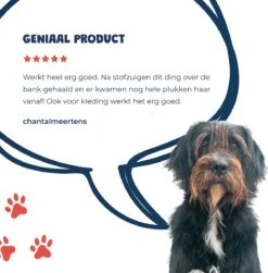 JC Pets Premium Pluizenborstel - Huisdierhaar Verwijderaar – Pluizenverwijderaar – Honden En Kattenhaar Verwijderaar - Ontpluizer - Pluizenroller -Huisdierbenodigdheden 1183x1200
