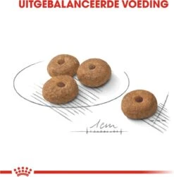 Royal Canin Mini Sterilised 8 KG -Huisdierbenodigdheden 1183x1200 8