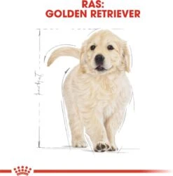 Royal Canin Golden Retriever Junior 12 KG -Huisdierbenodigdheden 1184x1200 10