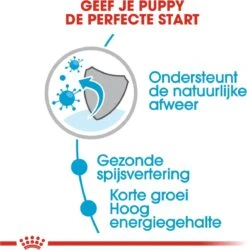 Royal Canin Shn Medium Puppy Pouch - Hondenvoer - 10 X 140 G -Huisdierbenodigdheden 1184x1200 13