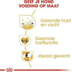 Royal Canin Golden Retriever 12 KG -Huisdierbenodigdheden 1185x1200 9