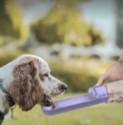 Vouwbare Honden Waterfles 420ml - Honden Fles Water - Honden Bidon - Honden Drinkfles - Paars 13 Vouwbare Honden Waterfles 420ml - Honden Fles Water - Honden Bidon - Honden Drinkfles - Paars -Huisdierbenodigdheden 1186x1200 10