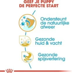 Royal Canin Golden Retriever Junior 12 KG -Huisdierbenodigdheden 1186x1200 13