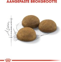 Royal Canin Indoor Long Hair - Kattenvoer - 10 Kg -Huisdierbenodigdheden 1186x1200 22