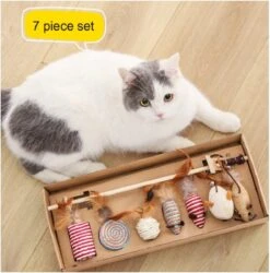 Kattenspeelgoed - Set Met 7 Kattenspeeltjes - Complete Set - Kattenhengel - Speelmuis -Huisdierbenodigdheden 1186x1200 28