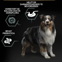 Pro Plan Medium Adult Sensitive Digestion - Honden Droogvoer - Lam - 14 Kg -Huisdierbenodigdheden 1187x1200 1