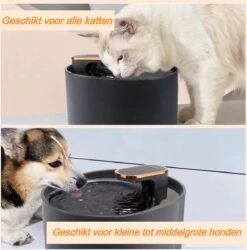 JEAS - Drinkfontein - Drinkfontein Kat & Hond - Incl. 3 Filters - Waterfontein Kat -Huisdierbenodigdheden 1187x1200 12