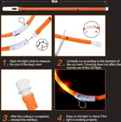 Merkloos Led Halsband Hond Usb Oplaadbaar 20-50 CM - Led Honden Halsband - Blauw - Extra Small Tm Extra Large - Universeel - Honden Lampje - Honden Licht - Honden Veiligheid - Lichtgevende Halsband Hond -Huisdierbenodigdheden 1188x1200 12