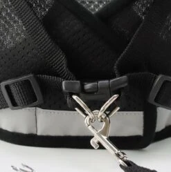 Merkloos Kittentuigje - Kattentuigje Reflecterend - Kattenharnas - Kattentuig Met Looplijn - Zwart - Maat XS -Huisdierbenodigdheden 1188x1200 25