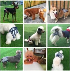 Loopsheid Broekje - Hondenbroekje - Loopsheid - Diverse Maten Navy Streep -Huisdierbenodigdheden 1189x1200 16