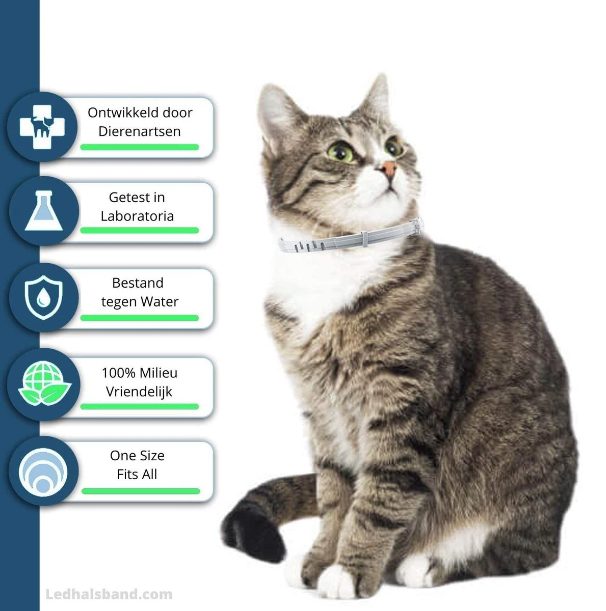 Biologische Vlooienband | Katten | Zonder Pesticiden | Vlooien En Teken | Veilig Voor Mens En Dier | Milieuvriendelijk | Kattenbandje | Geur Halsband 2 Biologische Vlooienband | Katten | Zonder Pesticiden | Vlooien En Teken | Veilig Voor Mens En Dier | Milieuvriendelijk | Kattenbandje | Geur Halsband - Afbeelding 2