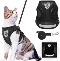 Merkloos Kittentuigje - Kattentuigje Reflecterend - Kattenharnas - Kattentuig Met Looplijn - Zwart - Maat XS -Huisdierbenodigdheden 1189x1200 26