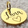 Dierenpenning Rond | Goud | Roestvrij Staal RVS | Diameter 3 Cm | Inclusief Naam En Telefoonnummer Graveren | Gegraveerde Penning Hond Kat | Hondenpenning