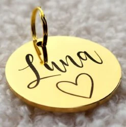 Dierenpenning Rond | Goud | Roestvrij Staal RVS | Diameter 3 Cm | Inclusief Naam En Telefoonnummer Graveren | Gegraveerde Penning Hond Kat | Hondenpenning