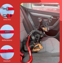 Autogordel Voor Honden - Rood - Voor Optimale Veiligheid Onderweg Voor Hond En Baasje - Schok Absorberend - Hondengordel - Voor Alle Honden - Bestand Tegen Grote Krachten - Geschikt Voor Bijna Alle Auto's -Huisdierbenodigdheden 1193x1200 5