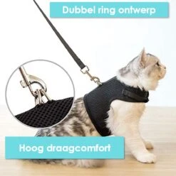 Kattentuigje Met Leiband Riem Kattenharnas Paars Maat M Kat & Kitten - Dieren Kattenriem - Cat Leash - Halsomvang 20 Tot 26cm - Borstomvang 30 Tot 34cm - Zootic® -Huisdierbenodigdheden 1194x1200 27