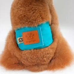 Merkloos Hondenluier Voor Kleine Hond - Luier Voor Reu - Buikband Maat S 27 Cm X 25 Cm 7 Merkloos Hondenluier Voor Kleine Hond - Luier Voor Reu - Buikband Maat S 27 Cm X 25 Cm -Huisdierbenodigdheden 1194x1200 5