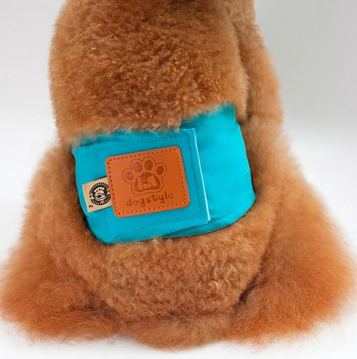 Merkloos Hondenluier Voor Kleine Hond - Luier Voor Reu - Buikband Maat S 27 Cm X 25 Cm 4 Merkloos Hondenluier Voor Kleine Hond - Luier Voor Reu - Buikband Maat S 27 Cm X 25 Cm - Afbeelding 4