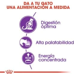 Royal Canin Sensible 33 - Kattenvoer - 4 Kg -Huisdierbenodigdheden 1197x1200 30