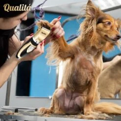 Merkloos Professionele Honden Tondeuse Set - Tondeuse Voor Huisdier Honden En Katten - Hondentrimmer - Hondentondeuse -Huisdierbenodigdheden 1198x1200 2