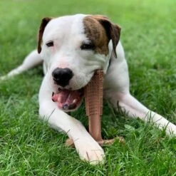 Spot Bam-Bones Plus Easy Grip - Veilig Kauwbot Voor Honden - Speciaal Voor Sterke Kauwers - Verzorgt Het Gebit Van De Hond - Rund Of Kip - S/M/L - Maat: Large, Smaak: Kip -Huisdierbenodigdheden 1198x1200 41