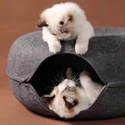 Merkloos A.K.A. Kattentunnel En Kattenmand In-1 – Kattenspeelgoed Speeltunnel Kattenhuis – Kattenhol Rond Kattenspeeltjes - Cat Cave Donut - Antraciet Vilt -Huisdierbenodigdheden 1198x1200 58