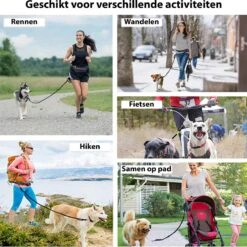 Filo Elastische Hondenriem Groot - Hardlopen En Wandelen - Hardloopriem Hond Handsfree Met Heuptasje - Looplijn Met Heupriem - Canicross Gordel Honden - Riemen - Heupgordel - Leiband -Huisdierbenodigdheden 1199x1200 1