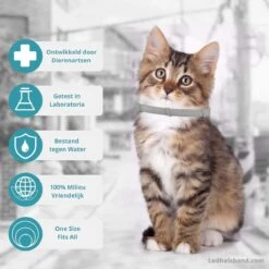 Biologische Vlooien- En Tekenband Voor Katten - BLAUW - Zonder Giftige Pesticiden - Veilig En Verantwoord -Huisdierbenodigdheden 1199x1200 20