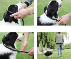 LOUZIR Cesar Millan Sliplijn Met Stop - Hondenriem - Rood - 130 Cm -Huisdierbenodigdheden 1200x1003 1