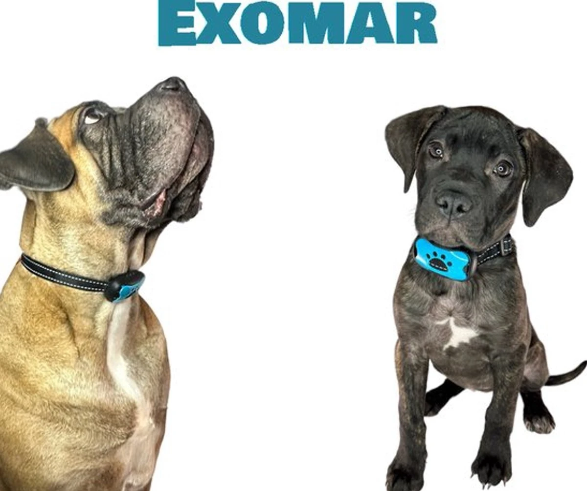 Exomar® Anti Blafband Voor Honden Blafband Anti Blaf Apparaat Blafband Zonder Schok - Diervriendelijk 7 Exomar® Anti Blafband Voor Honden Blafband Anti Blaf Apparaat Blafband Zonder Schok - Diervriendelijk - Afbeelding 7